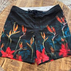 American Eagle Board Shorts